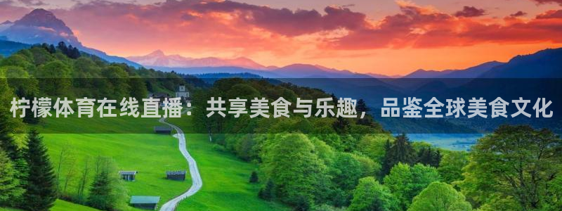 柠檬体育在线直播：共享美食与乐趣，品鉴全球美食文化