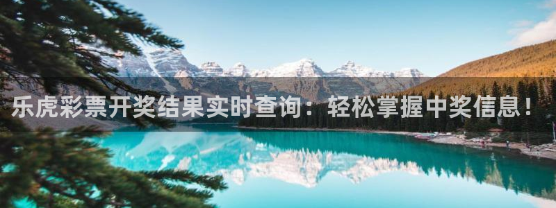 乐虎彩票开奖结果实时查询：轻松掌握中奖信息！
