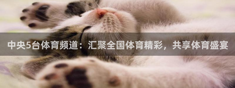 中央5台体育频道：汇聚全国体育精彩，共享体育盛宴