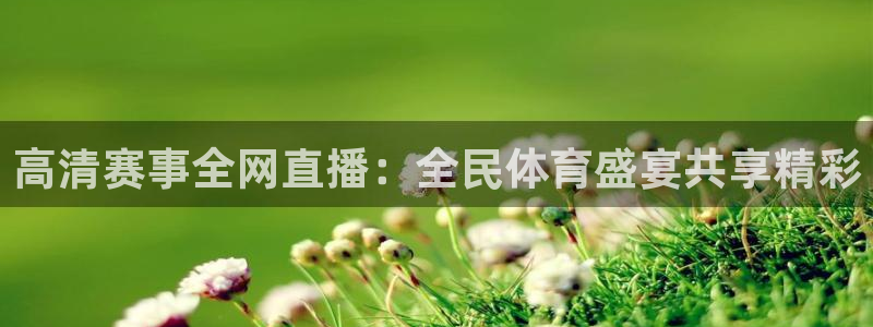 高清赛事全网直播：全民体育盛宴共享精彩