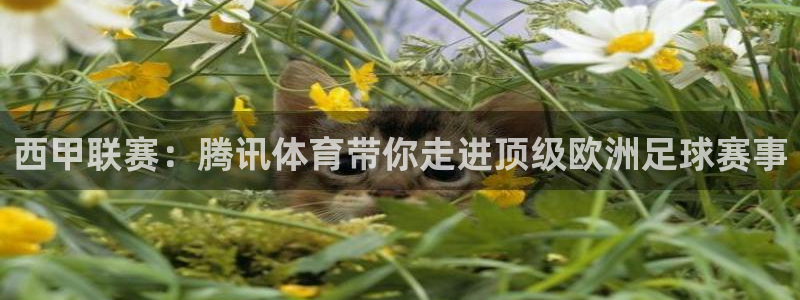 西甲联赛：腾讯体育带你走进顶级欧洲足球赛事