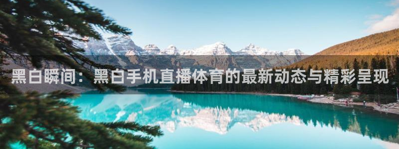 黑白瞬间：黑白手机直播体育的最新动态与精彩呈现