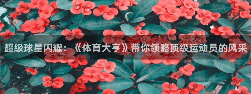 超级球星闪耀：《体育大亨》带你领略顶级运动员的风采