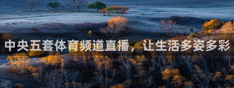 中央五套体育频道直播，让生活多姿多彩
