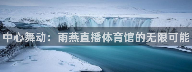 中心舞动：雨燕直播体育馆的无限可能